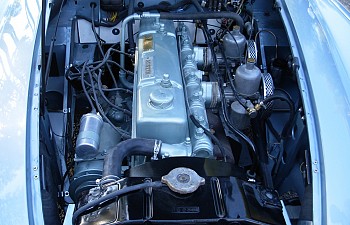 Healey 100